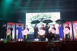 Vietnamese expats in Germany, Malaysia celebrate traditional Tet 