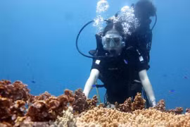 Underwater stone arch draws visitors to island district