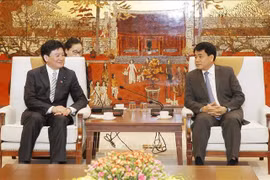 Japan ready to work with Hanoi on pollution treatment 