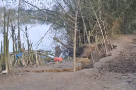 Landslide threaten lives, crop of Thua-Thien Hue residents