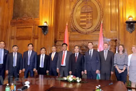 Vietnam wishes to bolster investment cooperation with Hungary