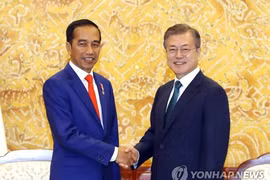 RoK, Indonesia discuss measures to strengthen strategic partnership