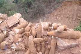 Vietnam, RoK team up in dealing with bomb, mine pollution