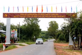 Binh Duong eyes completion of new-style rural area building in 2018