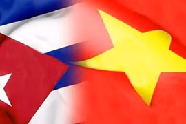 Vietnam keen on fostering traditional solidarity with Cuba: VUFO