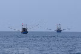Kien Giang publicizes names of fishing vessels engaged in IUU 