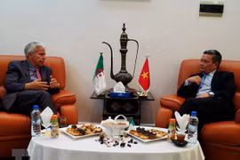 Vietnam promotes trade, investment in Algeria 