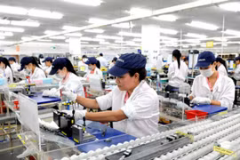 Vietnam’s shadow economy sparks debate