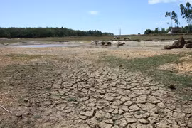 Conference reviews climate change response support programme 