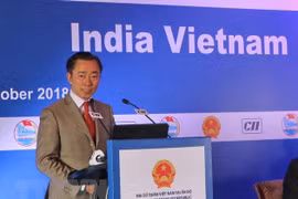Hau Giang seeks investment from India 