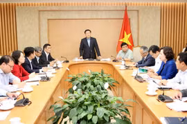 Keeping inflation rate below 4 percent feasible: Deputy PM