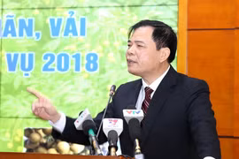 Northern provinces propose promoting litchi, longan exports