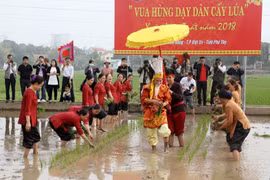 Festival commemorates Hung Kings’ teaching of rice cultivation