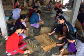 Young graduates to work in cooperatives in pilot programme