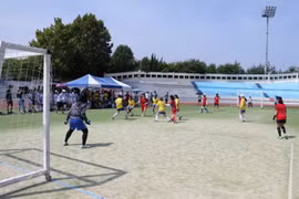 Vietnamese students gather in sport festival in RoK 