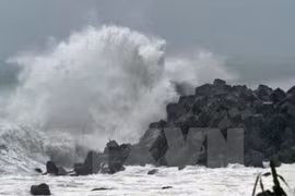 UNDP, Japan helps VN students deal with natural disasters