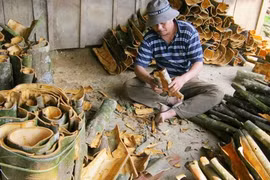 Quang Nam cinnamon seeks a spot on the world stage