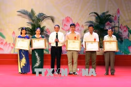 Da Nang reviews house assistance for revolutionary contributors 