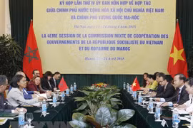 Vietnam always treasures all-round ties with Morocco