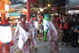 Vietnam-Japan cultural, trade exchange programme closes