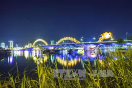 Da Nang to further improve investment environment in 2019