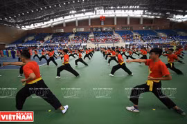 Second world championship of Vietnamese martial arts opens