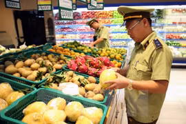 HCM City sets up groups to inspect food safety 