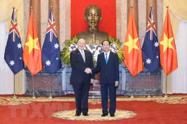 Vietnam, Australia agree to reinforce political trust 