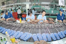 FDI firms in south gear up for CPTPP
