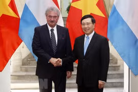 Vietnamese, Luxembourg FMs review bilateral ties during talks 