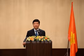 Ambassador highlights Vietnam-Japan cooperation prospects