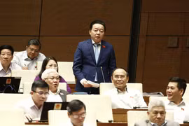 Minister talks climate change response in Mekong Delta