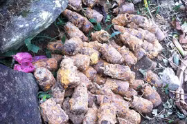 Quang Tri mobilises resources to settle post-war landmines