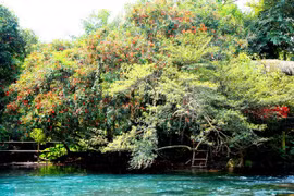 Quang Binh strives to welcome 4.3 million tourists in 2019