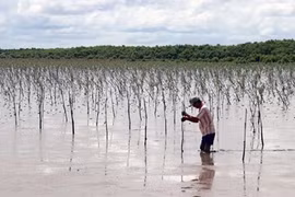 Workshop exchanges experiences in developing coastal ecosystems