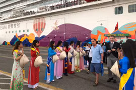Lack of cruise ports hinders tourism in HCM City