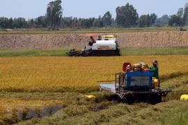 Mekong Delta seeks to turn agriculture challenges into opportunities