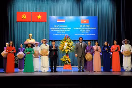 Vietnam-Netherlands diplomatic ties anniversary marked