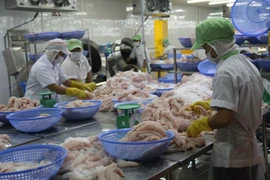 An Giang’s export value hits 455.9 million USD in seven months