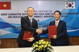 Vietnam, RoK look towards 100-bln-USD trade by 2020