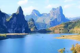 Northern Vietnam helps preserve prehistoric plants in East Asia