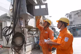 EVN’s power generation rises 12 percent in January 