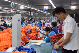 VN firms team up with Asia-Pacific partners for stronger growth