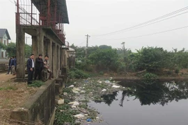 MONRE to carry out irregular inspections in 2018