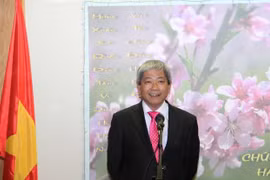 Overseas Vietnamese in Israel, RoK celebrate Lunar New Year