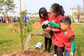 More Japanese cherry trees planted in Hanoi