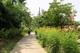 Khmer commune in Soc Trang becomes new-style rural area