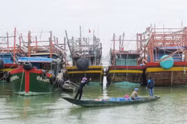 Quang Binh moves to prevent illegal, unreported fishing