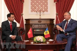 Ambassador wishes for growing Vietnam – Moldova ties 