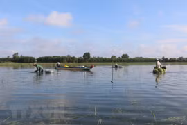 Flood-based livelihoods to help Mekong Delta’s water storage